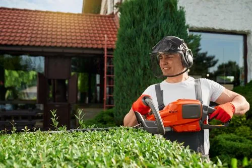 Home and Garden Maintenance